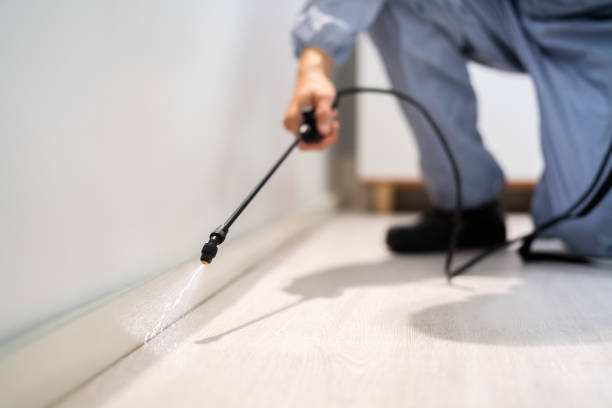 Bed Bug Pre-Treatment Preparation Assessment in Clear Lake