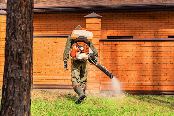 Bed Bug Clearance Verification and Documentation in Clear Lake